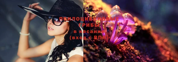 трава Алзамай