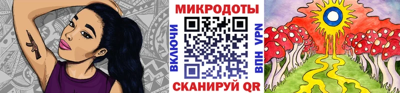 Галлюциногенные грибы Psilocybine cubensis Зерноград
