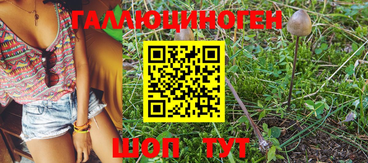 Галлюциногенные грибы Psilocybine cubensis  Вход с VPN  Зерноград 